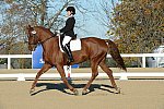 HHB-DressageFinals-11-9-13-2272-DDeRosaPhoto