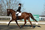 HHB-DressageFinals-11-9-13-2274-DDeRosaPhoto