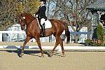 HHB-DressageFinals-11-9-13-2287-DDeRosaPhoto