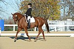HHB-DressageFinals-11-9-13-2288-DDeRosaPhoto