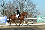HHB-DressageFinals-11-9-13-2290-DDeRosaPhoto