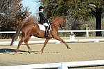 HHB-DressageFinals-11-9-13-2294-DDeRosaPhoto