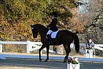 HHB-DressageFinals-11-9-13-2297-DDeRosaPhoto