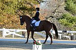 HHB-DressageFinals-11-9-13-2299-DDeRosaPhoto