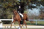 HHB-DressageFinals-11-9-13-2305-DDeRosaPhoto