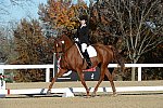 HHB-DressageFinals-11-9-13-2309-DDeRosaPhoto