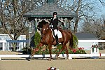 HHB-DressageFinals-11-9-13-2311-DDeRosaPhoto