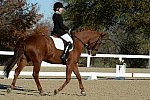 HHB-DressageFinals-11-9-13-2312-DDeRosaPhoto