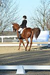 HHB-DressageFinals-11-9-13-2319-DDeRosaPhoto