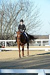 HHB-DressageFinals-11-9-13-2325-DDeRosaPhoto