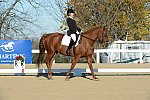 HHB-DressageFinals-11-9-13-2329-DDeRosaPhoto