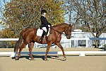 HHB-DressageFinals-11-9-13-2331-DDeRosaPhoto