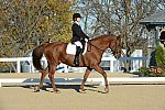 HHB-DressageFinals-11-9-13-2332-DDeRosaPhoto