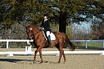 HHB-DressageFinals-11-9-13-2344-DDeRosaPhoto