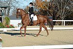 HHB-DressageFinals-11-9-13-2346-DDeRosaPhoto