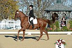 HHB-DressageFinals-11-9-13-2347-DDeRosaPhoto