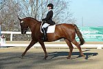 HHB-DressageFinals-11-9-13-2348-DDeRosaPhoto