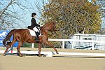 HHB-DressageFinals-11-9-13-2352-DDeRosaPhoto