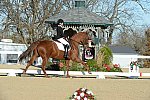 HHB-DressageFinals-11-9-13-2354-DDeRosaPhoto