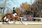 HHB-DressageFinals-11-9-13-2355-DDeRosaPhoto