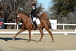 HHB-DressageFinals-11-9-13-2366-DDeRosaPhoto