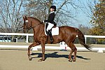 HHB-DressageFinals-11-9-13-2382-DDeRosaPhoto