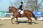 HHB-DressageFinals-11-9-13-2383-DDeRosaPhoto