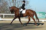 HHB-DressageFinals-11-9-13-2384-DDeRosaPhoto