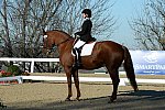 HHB-DressageFinals-11-9-13-2387-DDeRosaPhoto