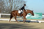 HHB-DressageFinals-11-9-13-2388-DDeRosaPhoto