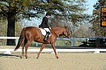 HHB-DressageFinals-11-9-13-2392-DDeRosaPhoto