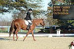 HHB-DressageFinals-11-9-13-2393-DDeRosaPhoto