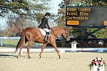 HHB-DressageFinals-11-9-13-2394-DDeRosaPhoto