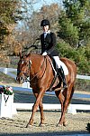 HHB-DressageFinals-11-9-13-2398-DDeRosaPhoto