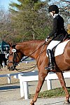 HHB-DressageFinals-11-9-13-2418-DDeRosaPhoto