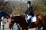 HHB-DressageFinals-11-9-13-2419-DDeRosaPhoto