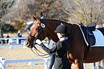 HHB-DressageFinals-11-9-13-2420-DDeRosaPhoto