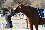 HHB-DressageFinals-11-9-13-2422-DDeRosaPhoto