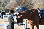 HHB-DressageFinals-11-9-13-2423-DDeRosaPhoto