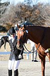 HHB-DressageFinals-11-9-13-2424-DDeRosaPhoto