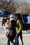 HHB-DressageFinals-11-9-13-2425-DDeRosaPhoto