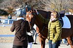 HHB-DressageFinals-11-9-13-2426-DDeRosaPhoto