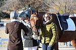 HHB-DressageFinals-11-9-13-2427-DDeRosaPhoto