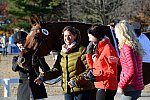 HHB-DressageFinals-11-9-13-2428-DDeRosaPhoto