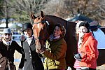 HHB-DressageFinals-11-9-13-2435-DDeRosaPhoto