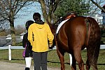 HHB-DressageFinals-11-9-13-2459-DDeRosaPhoto