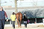 HHB-DressageFinals-11-9-13-2464-DDeRosaPhoto