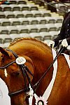 HHB-DressageFinals-11-9-13-2517-DDeRosaPhoto