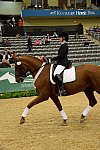 HHB-DressageFinals-11-9-13-2520-DDeRosaPhoto