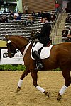 HHB-DressageFinals-11-9-13-2521-DDeRosaPhoto